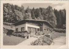 Nebbiu cadore chalet usato  Polcenigo