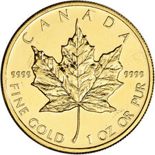 Canada gold maple for sale  Dallas