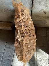 Anzündholz anfeuerholz 6kg gebraucht kaufen  Wolnzach
