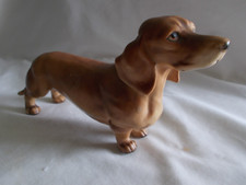 Porcelain brown male for sale  Melbourne