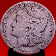 1895 morgan dollar for sale  Madison