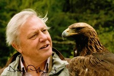 Sir david attenborough for sale  MANCHESTER