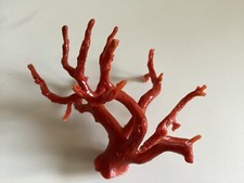 Jolie branche corail d'occasion  Nice-