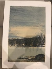 Cazzaniga litografia colori usato  Piacenza