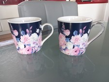 Fox ivy fine for sale  DERBY