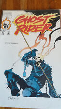 Ghost rider jan usato  Trevenzuolo