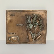 Hen feathers bronze d'occasion  Expédié en Belgium