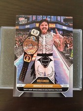 2025 wwe topps usato  Spedire a Italy