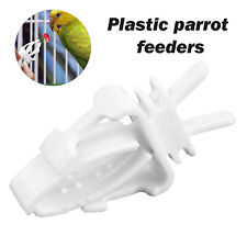 50pcs bird food for sale  UK