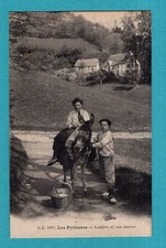 The pyrenees dairy d'occasion  Expédié en Belgium