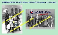 Quadrophenia poster jimmy for sale  BICESTER