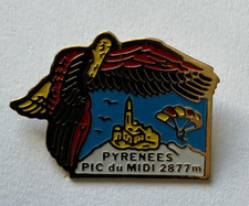 Pin pyrenees observatoire d'occasion  Aizenay