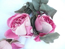 Ancienne bouquet fleurs d'occasion  Tarbes