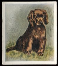 Tobacco card godfrey for sale  ASHFORD