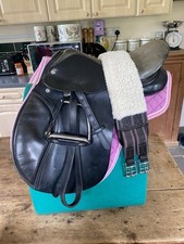 Quality older falcon for sale  GLASTONBURY