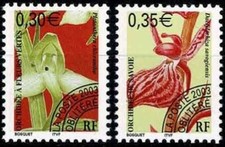 2003 fleurs orchidées d'occasion  Dieuze