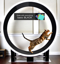 Ferris cat exercise for sale  Boulder
