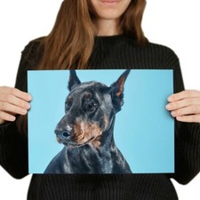 Doberman dog portrait for sale  SELBY