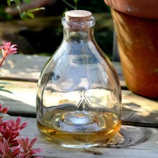 Glass wasp trap for sale  LETCHWORTH GARDEN CITY