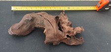 Aquarium bogwood large for sale  WITHAM
