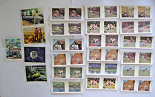Weetabix animal cards for sale  STOKE-ON-TRENT