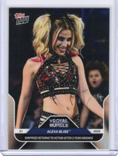 2025 topps wwe for sale  Bolingbrook