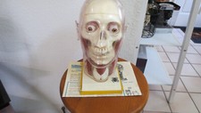 Renwal visible head. for sale  Rancho Cucamonga