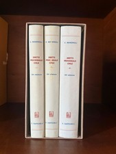 Diritto processuale civile usato  Napoli