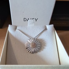 Daisy london michaelmas for sale Daisy london michaelmas for sale  BRIERLEY HILL