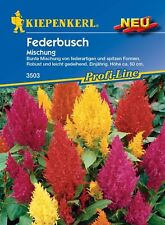 Federnbusch mischung freiland gebraucht kaufen  Elchesheim-Illingen