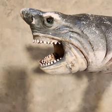 Vintage great white for sale  Waterford