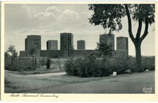 Krauskopf tannenberg hohenstei gebraucht kaufen  Berlin