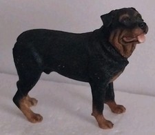 Leonardo collection dog for sale  SCUNTHORPE