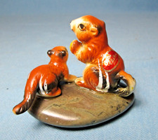Two miniature squirrel for sale  Traverse City