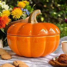 Small mini pumpkin for sale  San Antonio