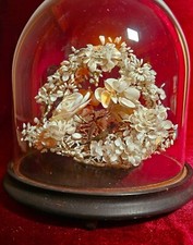 Victorian cloche shell for sale  Brooklyn