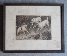 Terrier dogs hunting for sale  WEST MOLESEY