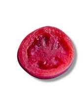 Ímã de geladeira vintage realista comida fatia de tomate borracha comprar usado  Enviando para Brazil