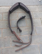 Certura polmonare equestre usato  Fiumicino