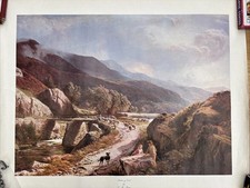Welsh bettusy coed for sale  CANNOCK