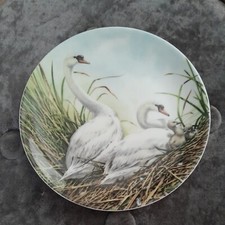 Nest among reeds for sale  LIVERPOOL