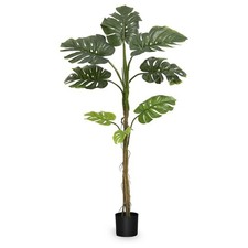 Maia shop 5ft for sale  Alhambra