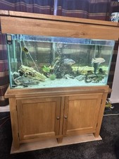 Oak cabinet tropical for sale  SHREWSBURY