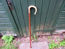 walking stick blanks for sale walking stick blanks for sale STIRLING