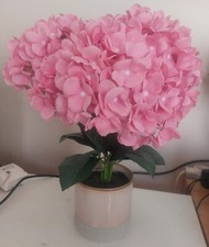 Hortensia eternel pot d'occasion  Boulogne-Billancourt
