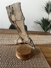 Real pony leg for sale Real pony leg for sale  CLYNDERWEN
