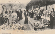 Cannes marché fleurs d'occasion  Mont-de-Marsan