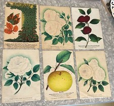 1800 botanical color for sale  Spokane