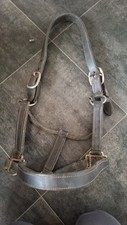 Leather headcollar full for sale  STAFFORD