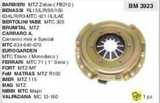 Frizione motocoltivatore motoz usato  Bisignano